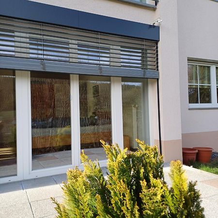 Fewo Fink Regen Exterior foto