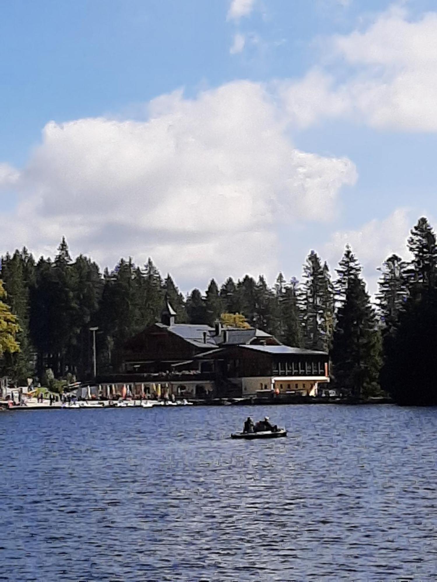 Fewo Fink Regen Exterior foto